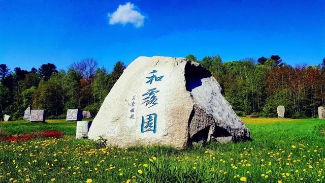 我们这代人存不下钱的原因是什么？游戏画面